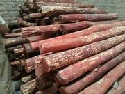 red sandalwood exporters in India